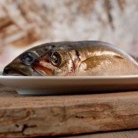 BARF Fisch - Ganze Stücke - Ganze Makrelen 1000g