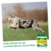 cdVet - cdProtect Dog forte