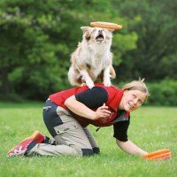 Spielzeug - Trixie Dog Activity Disc 23 cm