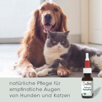 Pflege & Hygiene - Augenpflege - VeaVet Euphrasia Augenpflege | 20 ml