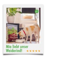 Irish Pure - Adult - Irisches Weiderind & Freiland-Huhn mit Gemüse & Kelp-Alge, Adult 4,0 kg